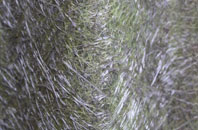 Arkesden fibreglass roof work